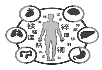 医用麻豆视频三级片微量元素是什么怎么补 医用麻豆视频三级片微量元素是什么怎么补