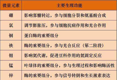 全自动麻豆视频三级片厂家微量元素的对人体的生理作用 全自动麻豆视频三级片厂家微量元素的对人体的生理作用