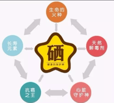 素分析仪,医用一区二区三区国产传媒麻豆,人体微 素分析仪,医用一区二区三区国产传媒麻豆,人体微